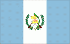 Guatemala W crest