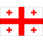 Georgia U21 crest