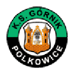 Górnik Polkowice crest