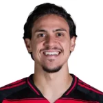 Pedro Guilherme Abreu dos Santos