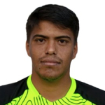 Pablo Fabián Meza Marmolejo