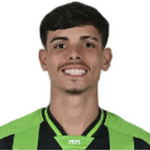 Thalys Victor Martins Sena