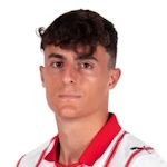 Alejandro Francés Torrijo