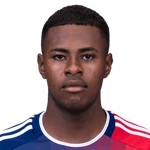 Patrickson Luiggy Delgado Villa