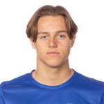 Ludvig Carl William Nåvik