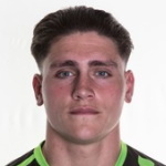 Mathew Antony Stevens