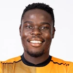 Ndamulelo Rodney Maphangule