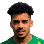 Telmo Emanuel Gomes Arcanjo