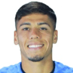 Pedro Ignacio Navarro Castillo