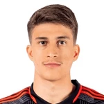 Gabriel Cordeiro Pirani