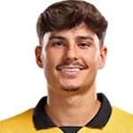 Rodrigo Martins Gomes