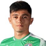 Nicolás Alejandro Aedo Muñoz