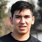 Ignacio Antonio Mesina Silva