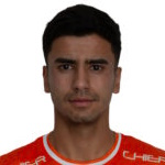 Nicolás Andrés Palma Pardo