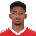 Victor Gabriel da Conceição Ribeiro