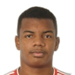 João Victor Felix Alves