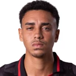 Marcelo Alixandre Ajul