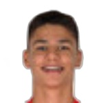 Júlio Lucas Freitas von Hellens