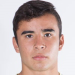 Fernando Illescas Mariñelarena