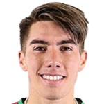 Martín Alonso Lara Collao