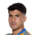 Nicolás Alejandro Ibáñez