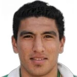 Luis Vicente Jerez Silva