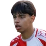 Gabriel Toledo Capicchioni