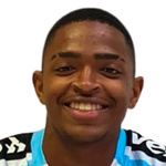 Ronald Barcellos Arantes