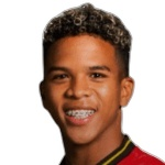 Javier Andrés Mena Márquez