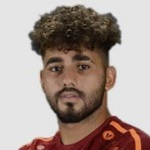 Hazem Ahmed Mohamed Ahmed Shehata