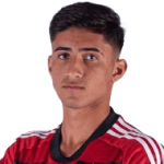 Guilherme Henrique Bernardineli Gomes