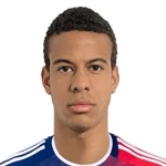 Alvaro Ribeiro de Brito Augusto