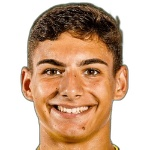 Diogo Alexandre Brasido Teles Furtado Silva