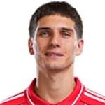 Nicolás Martín Domínguez